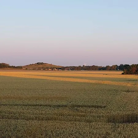 Idyllic Summer In The Countrysid *