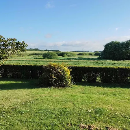 Idyllic Summer In The Countrysid *