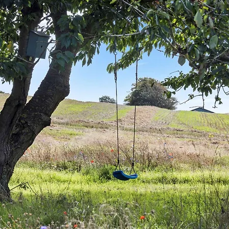 Idyllic Summer In The Countrysid
