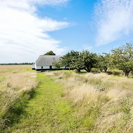 Idyllic Summer In The Countrysid *
